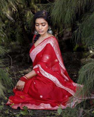 Artriddhs Banarasi 4036 designer Saree shop in delhi