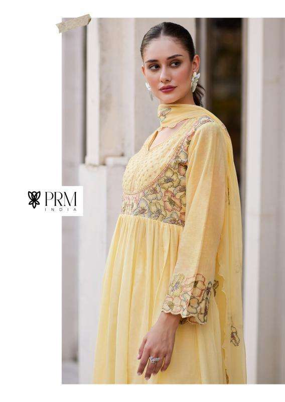 PRM India Eyana Kurti suppliers in Gujarat